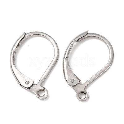 Tarnish Resistant 316L Surgical Stainless Steel Leverback Earring Findings STAS-E194-03P-1