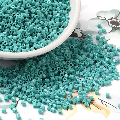 Opaque Glass Seed Beads SEED-S042-22B-04-1