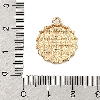 Alloy Enamel Pendants FIND-Z064-02B-1