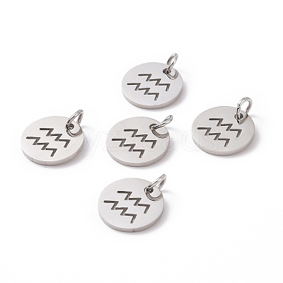 Non-Tarnish 304 Stainless Steel Charms STAS-Q201-T445-11S-1