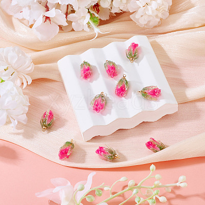 10Pcs Transparent Acrylic Pendants SACR-TA0001-66A-1