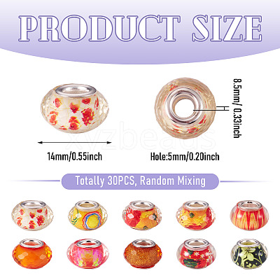 30Pcs Printed Transparent Resin European Beads RESI-TADJ0001-03J-1