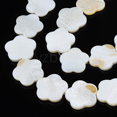 Natural Freshwater Shell Beads Strands SHEL-N026-188-1