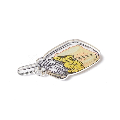 Transparent Printed Acrylic Pendants LS-TACR-G042-01D-1