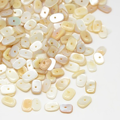 Dyed Natural Freshwater Shell Chips Beads X-SHEL-A003-D02-1