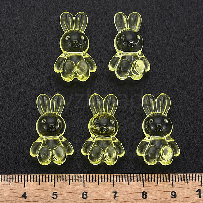Transparent Acrylic Beads LS-MACR-S373-81-B06-1