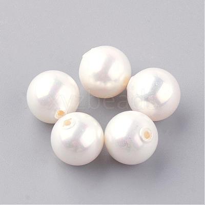 Natural Sea Shell Beads SHEL-Q008-18-5mm-1
