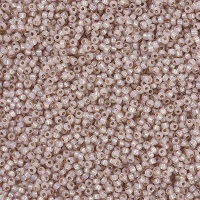 MIYUKI Round Rocailles Beads X-SEED-G008-RR0579-1