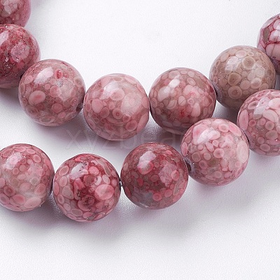 Natural Fossil Coral Beads Strands G-F563-01-10mm-1