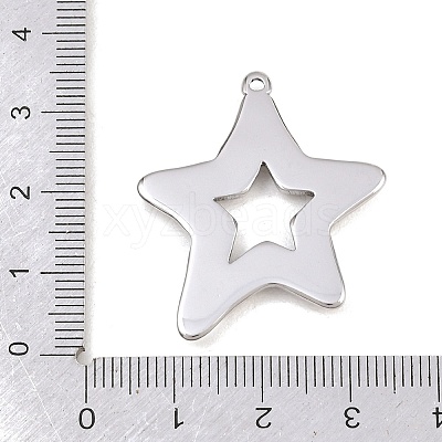 304 Stainless Steel Pendants STAS-B144-02P-1