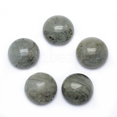 Natural Labradorite Cabochons G-P393-R47-6MM-1