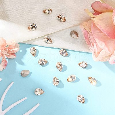 Preciosa® MAXIMA Crystal Fancy Stones X-PRC-FE14-00030-235-1
