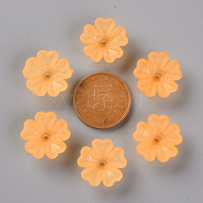 Transparent Frosted Acrylic Bead Caps MACR-S371-04A-724-1