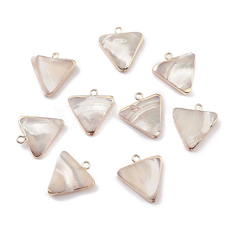 Natural Trochid Shell/Trochus Shell Pendants BSHE-E028-12KCG-1