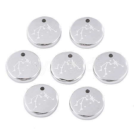 Non-Tarnish 316 Surgical Stainless Steel Charms STAS-S116-418F-P-1