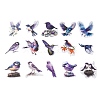 PET Decorative Stickers DIY-M076-01C-3