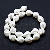 Electroplate Shell Pearl Beads Strands BSHE-G006-10C-2