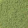 TOHO Round Seed Beads X-SEED-TR11-0946F-2