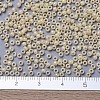 MIYUKI Round Rocailles Beads SEED-G007-RR0487-4