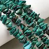 Natural HuBei Turquoise Bead Strands G-H345-A01-13-1
