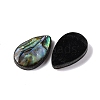 Natural Paua Shell Epoxy Resin Cabochons SSHEL-S279-01E-2