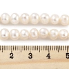 Natural Cultured Freshwater Pearl Beads Strands PEAR-C003-13F-5