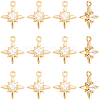 14Pcs Brass Micro Pave Cubic Zirconia Pendants KK-BBC0028-17-7