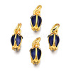 Alloy Enamel Charms KK-N238-064A-2