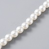 ABS Pearl Beaded Bag Strap PURS-WH0001-26A-G-2