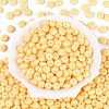 Opaque Baking Paint Glass Seed Beads SEED-N008-03A-03-2