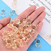 Transparent Acrylic Beads LS-MACR-S373-81-B04-6