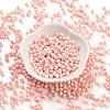 Baking Paint Glass Seed Beads SEED-A032-02P-2