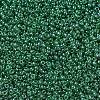 MIYUKI Round Rocailles Beads SEED-G007-RR0173-1
