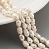 Natural Keshi Pearl Cultured Freshwater Pearl Beads Strands PEAR-P062-34-2