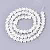 Natural Trochid Shell/Trochus Shell Bead Strands SSHEL-N034-68A-2