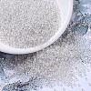 MIYUKI Round Rocailles Beads SEED-G007-RR0001-2