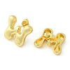 Rack Plating Brass Earrings EJEW-S222-01G-W-2
