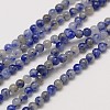Natural Gemstone Blue Spot Jasper Round Beads Strands LS-G-A130-3mm-21-1
