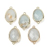 Natural Amazonite Faceted Connector Charms G-K347-11G-18-1