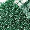 TOHO Round Seed Beads SEED-TR11-0024B-1