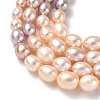 Natural Cultured Freshwater Pearl Beads Strands PEAR-C004-16-6