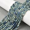 Natural Kyanite/Cyanite/Disthene Beads Strands G-G259-D04-4mm-1