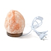 Natural Himalayan Rock Salt Lamp DJEW-P002-01A-3