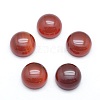 Natural Carnelian Cabochons X-G-P393-R03-10mm-1