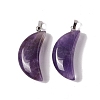 Natural Amethyst Pendants G-Z022-03D-2