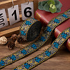 Ethnic Style Embroidery Polyester Ribbons SK-TAC0001-03-13