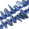 Natural Kyanite Beads Strands G-J403-02-1