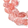 Cherry Quartz Glass Beads Strands G-H023-B10-01-4