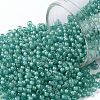 TOHO Round Seed Beads SEED-JPTR11-0954F-1