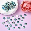 Preciosa® MAXIMA Crystal No Hotfix Flatback Stones Y-PRC-NSS12-30280-200-2